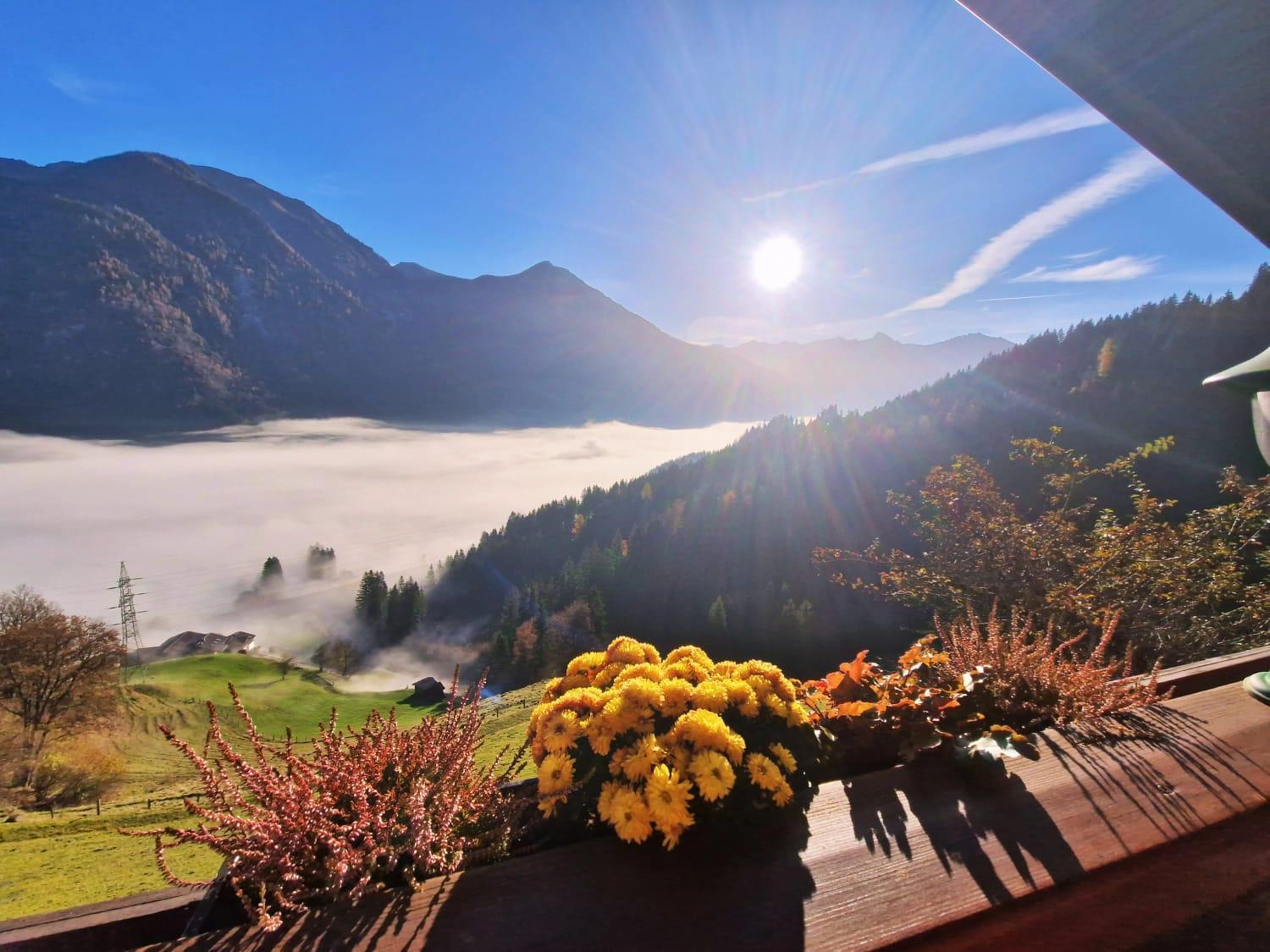 Appartement Schwarzguetl Bad Hofgastein