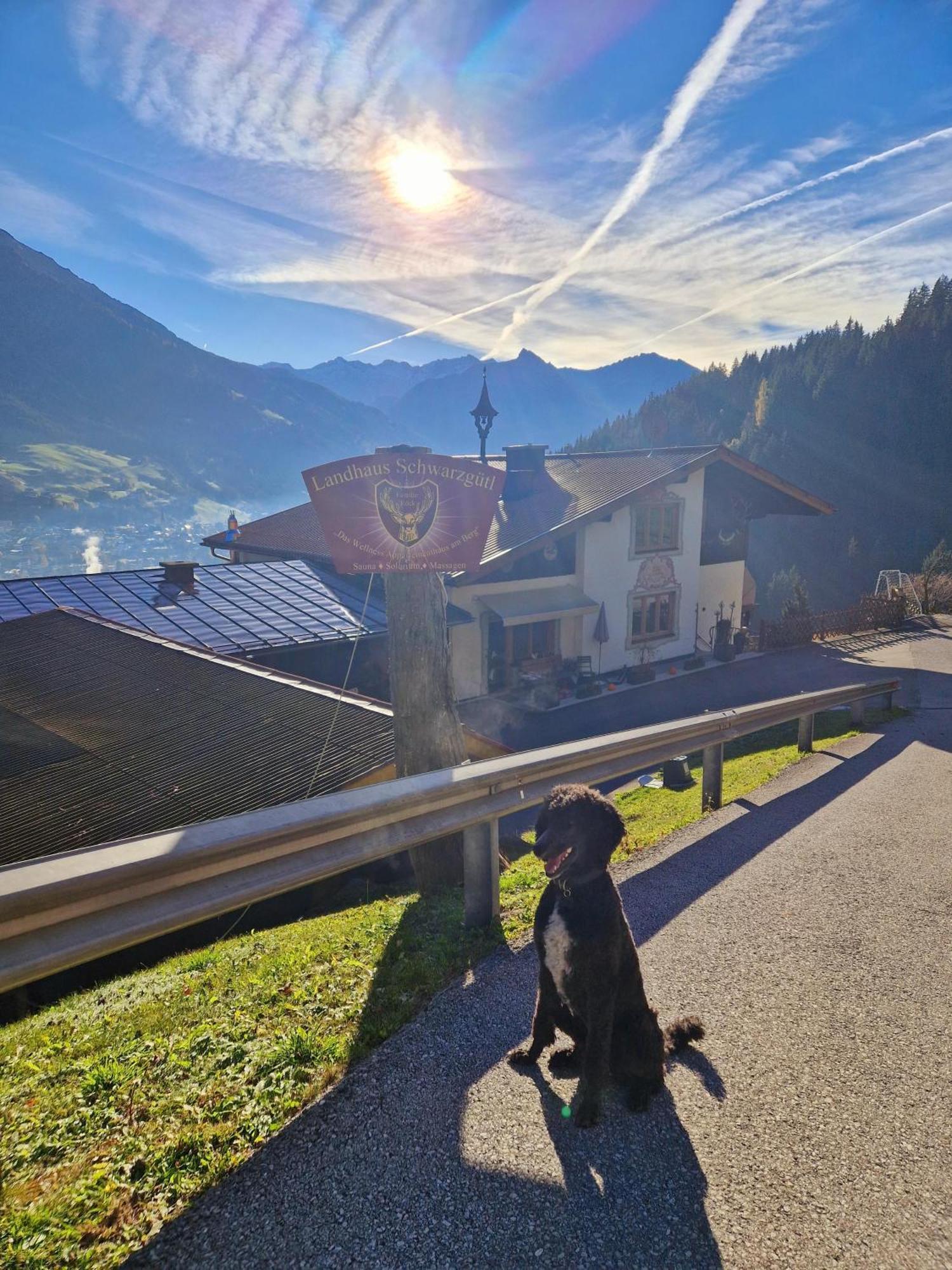 Schwarzguetl Appartement Bad Hofgastein