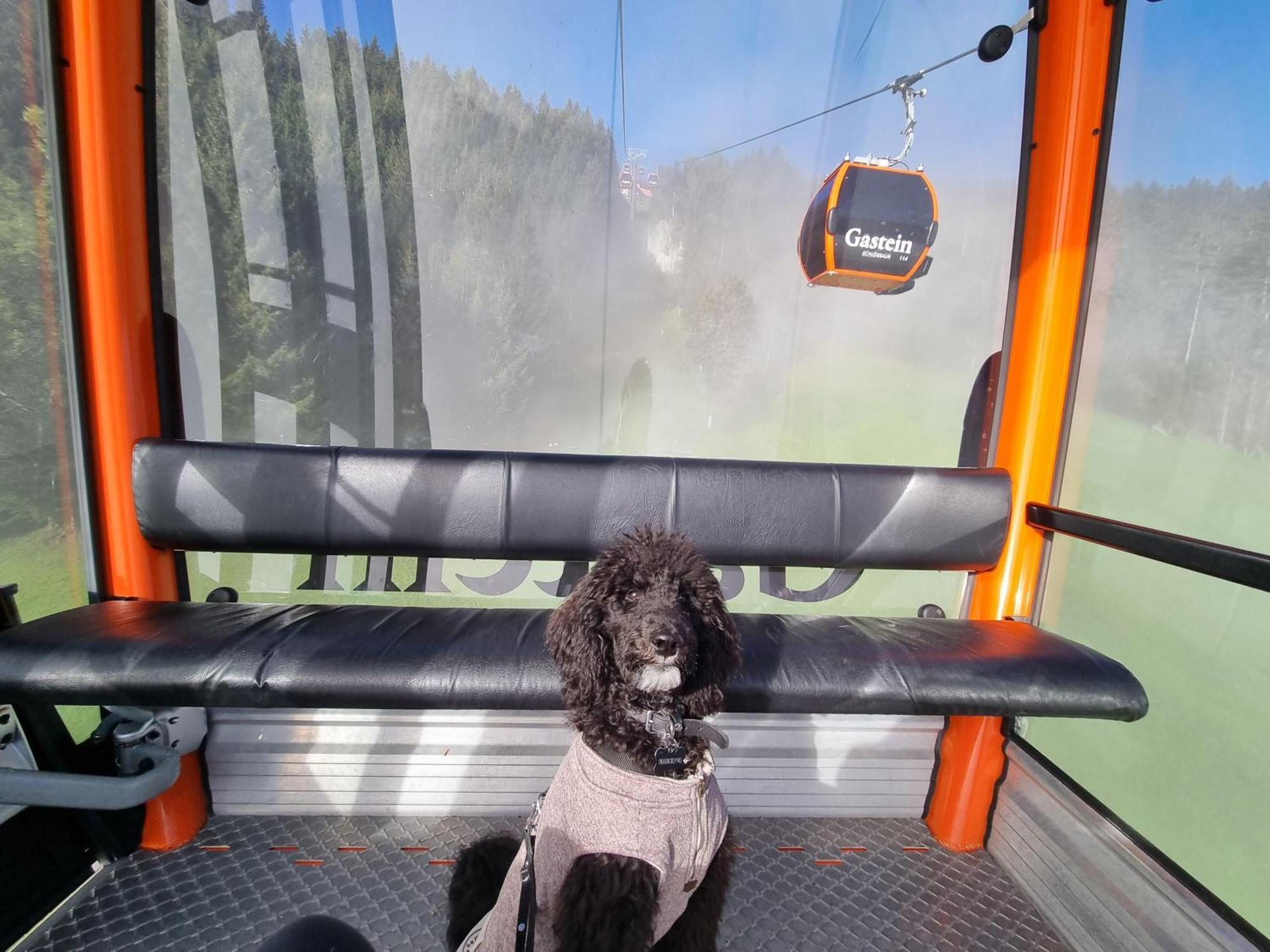 Schwarzguetl Bad Hofgastein